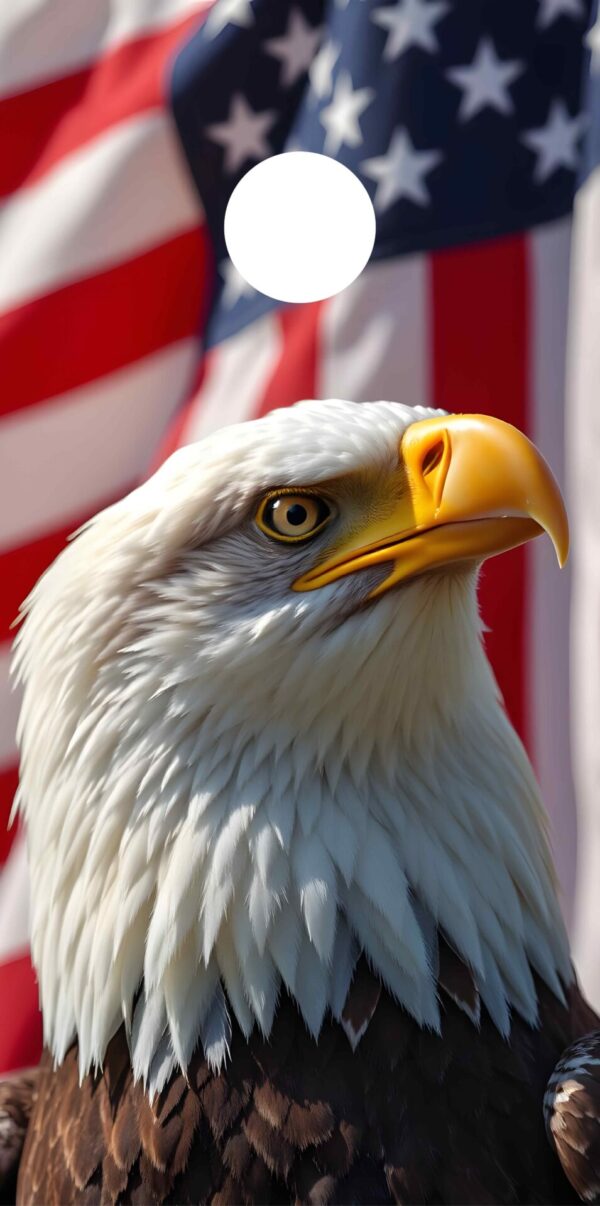 Soaring Eagle Freedom Edition