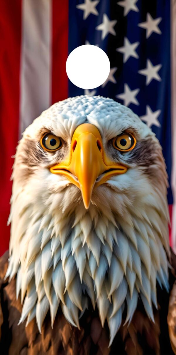 Freedom's Guardian Eagle